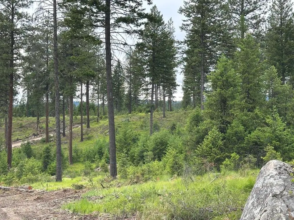 36XX Lot F Sheridan Rd, Republic, WA 99166 - #1