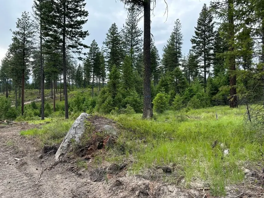 36XX Lot F Sheridan Rd, Republic, WA 99166 - #2