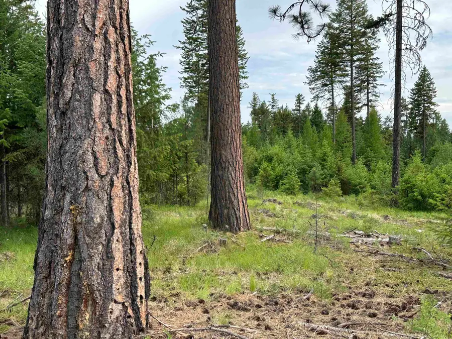 36XX Lot F Sheridan Rd, Republic, WA 99166 - #3