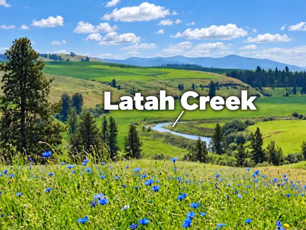 40 Acres 11900 Hays Rd, Spangle, WA 99031