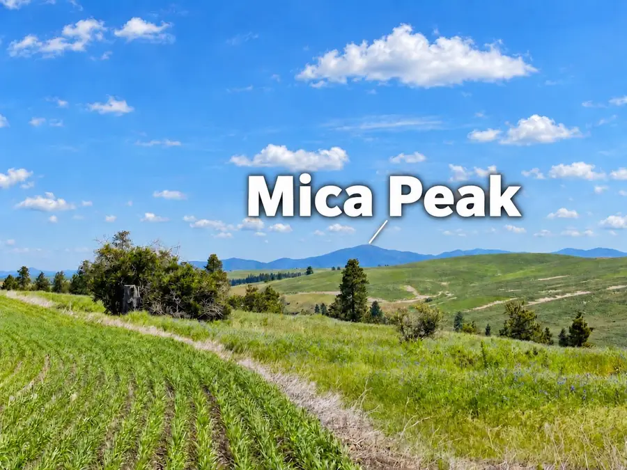40 Acres 11900 Hays Rd, Spangle, WA 99031 - #2