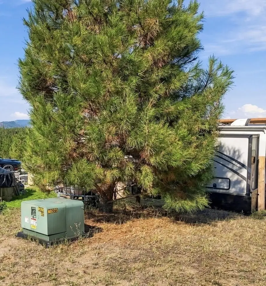 250 Paragon Dr, Newport, WA 99156 - #2