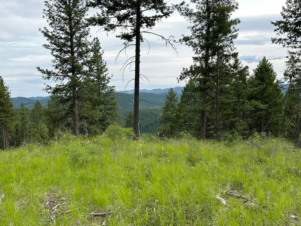 36XX Lot Q Sheridan Rd, Republic, WA 99166 - #1