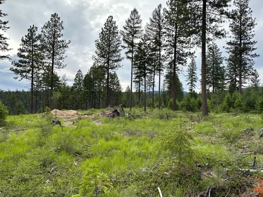 36XX Lot Q Sheridan Rd, Republic, WA 99166 - #2