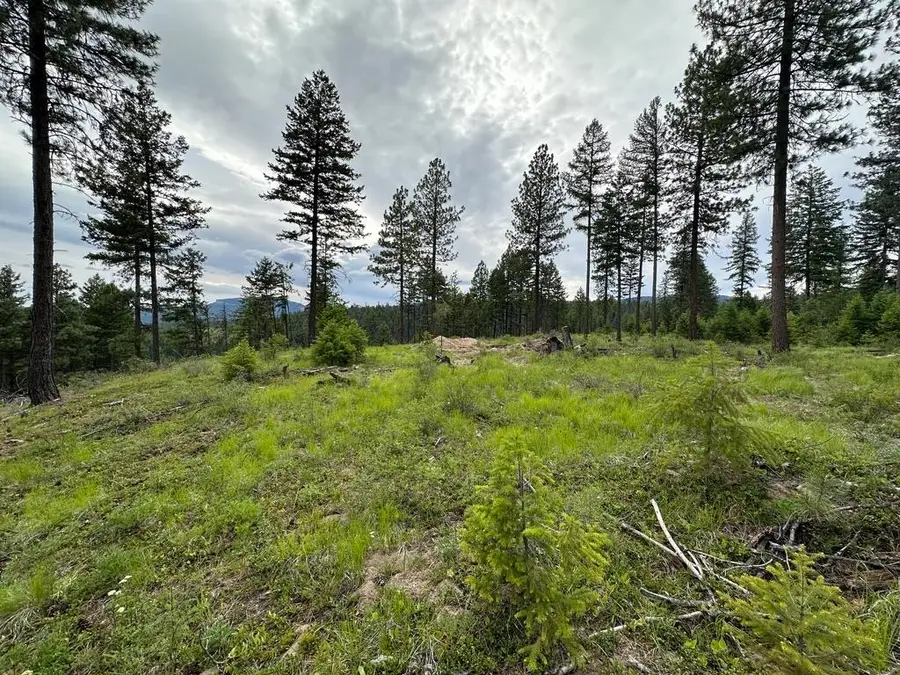 36XX Lot Q Sheridan Rd, Republic, WA 99166 - #3