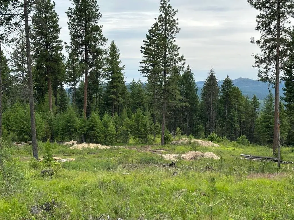 36XX Lot P Sheridan Rd, Republic, WA 99166 - #1