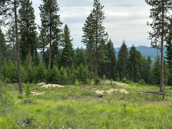 36XX Lot P Sheridan Rd, Republic, WA 99166