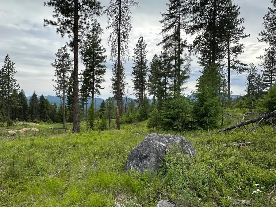 36XX Lot P Sheridan Rd, Republic, WA 99166 - #2