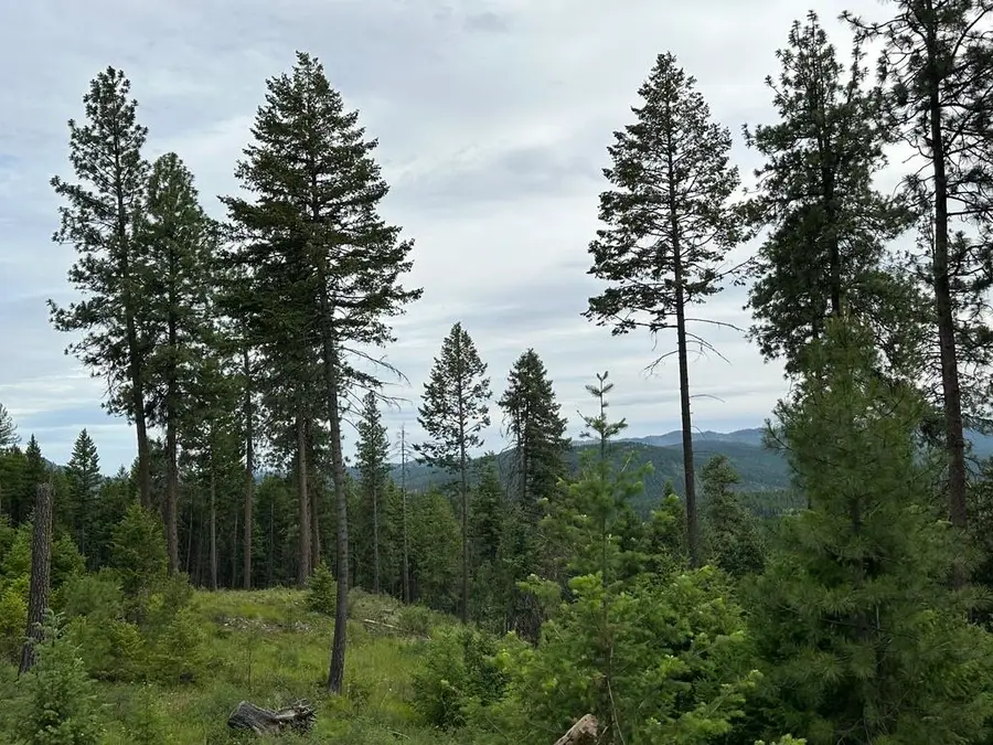 36XX Lot P Sheridan Rd, Republic, WA 99166 - #3