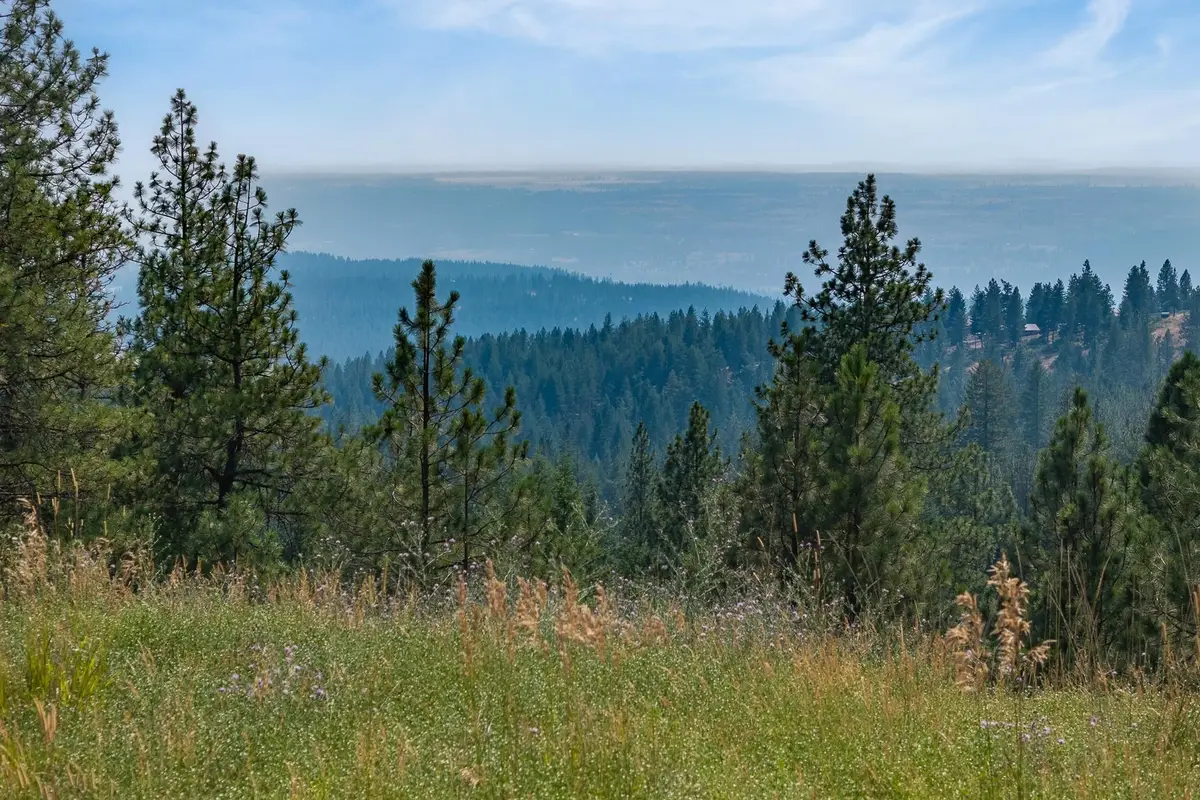 NNA Blue Ridge Way, Deer Park, WA 99006 - #1