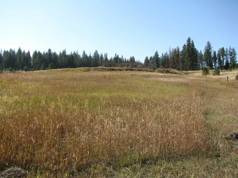 7308 E Bigelow Gulch Rd, Spokane, WA 99217 - #2