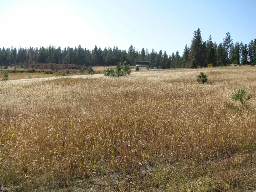7308 E Bigelow Gulch Rd, Spokane, WA 99217 - #3