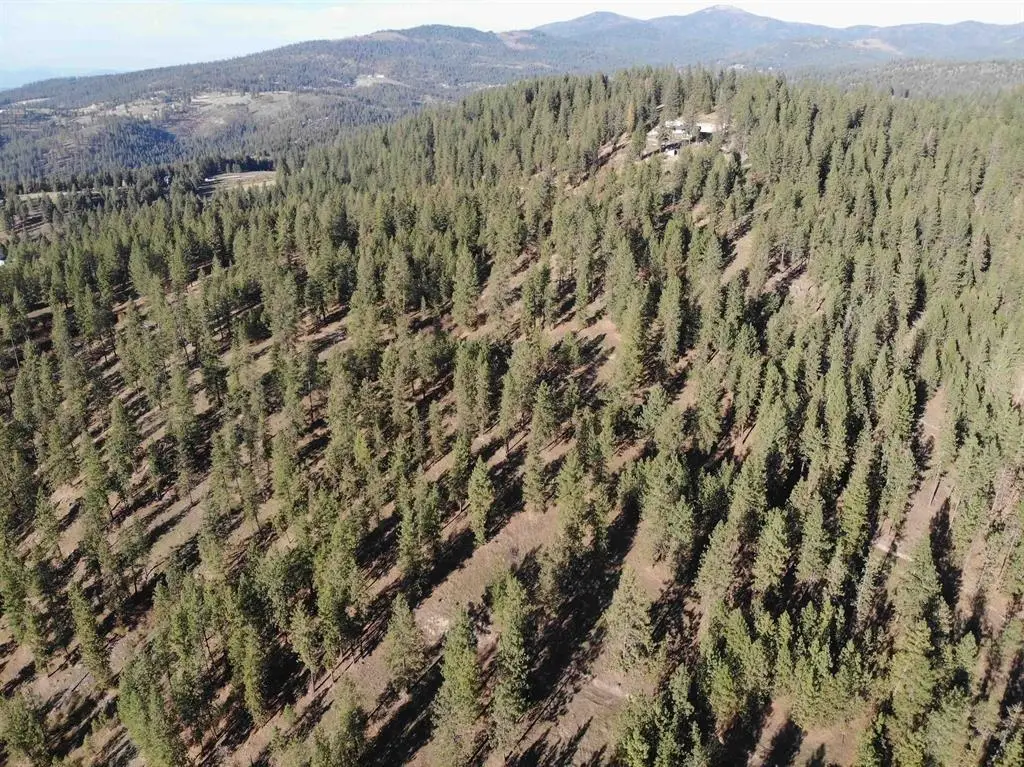 TBD Unassigned Address, Mead, WA 99021 - #1