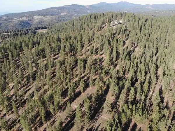 TBD Unassigned Address, Mead, WA 99021