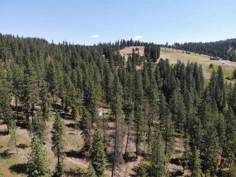 TBD Unassigned Address, Mead, WA 99021 - #2