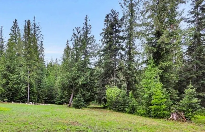 221 Harworth Rd, Newport, WA 99156 - #3