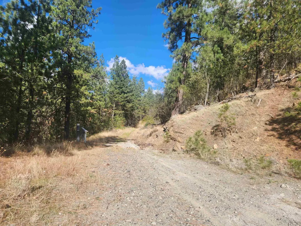 875 N Bella Lago Ln, Liberty Lake, WA 99019 - #1