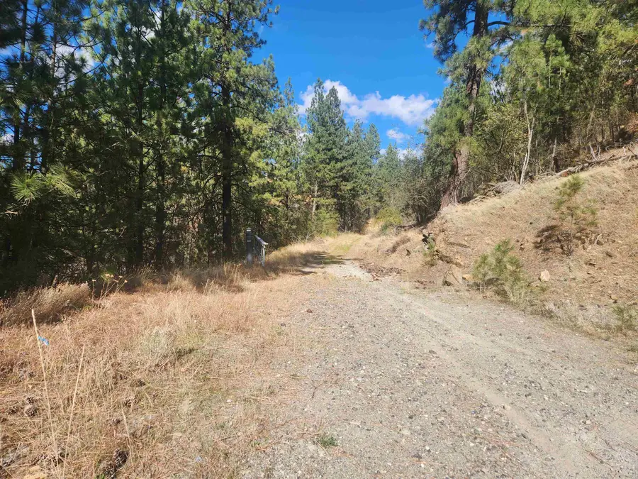 875 N Bella Lago Ln, Liberty Lake, WA 99019 - #2