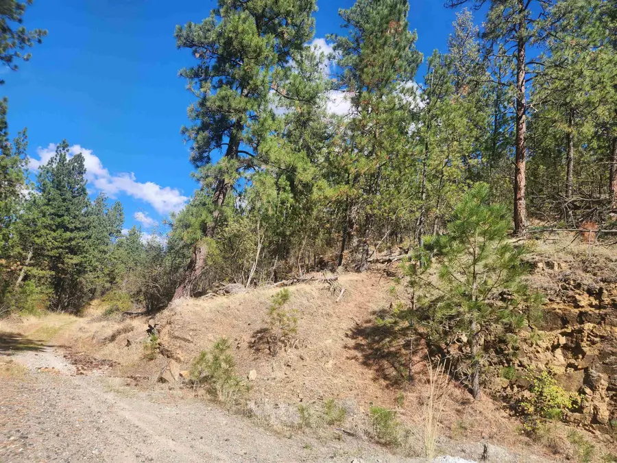 875 N Bella Lago Ln, Liberty Lake, WA 99019 - #3