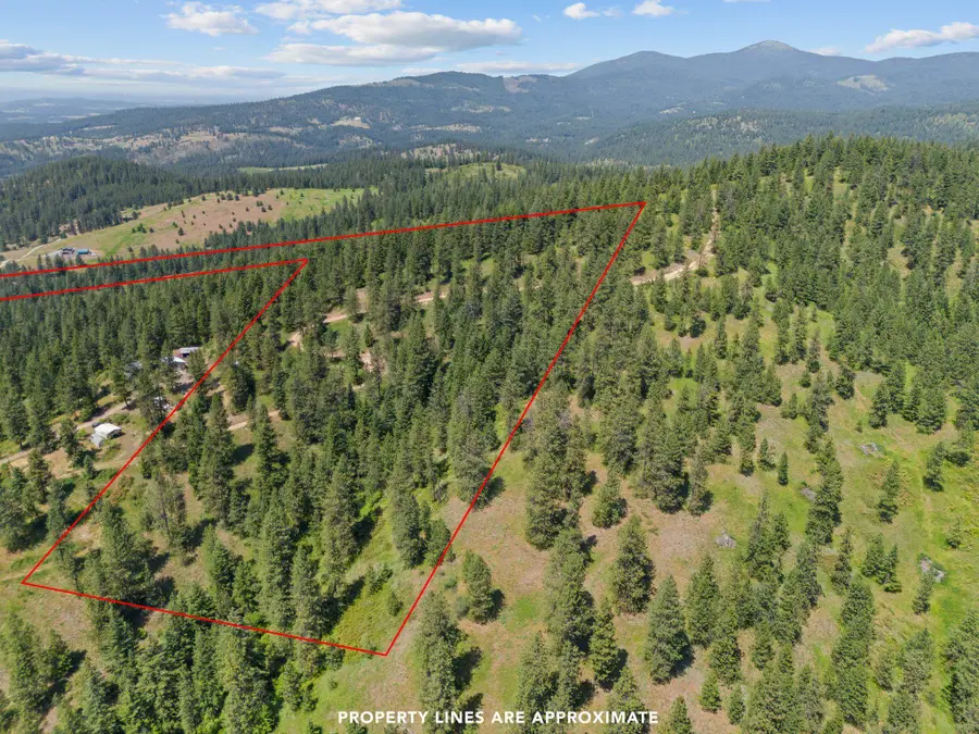 NNA Scribner Branch Rd, Mount Spokane, WA 99217 - #2