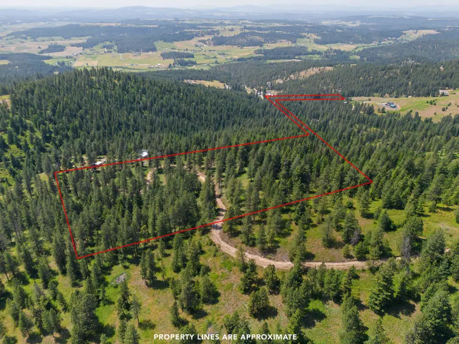 NNA Scribner Branch Rd, Mount Spokane, WA 99217 - #3