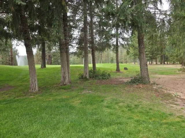 556 Palmer Ln, Chewelah, WA 99109 - #3