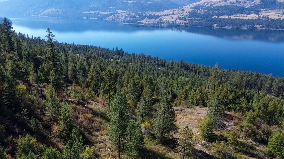 1989-TBD S 25 Hwy, Kettle Falls, WA 99141 - #1