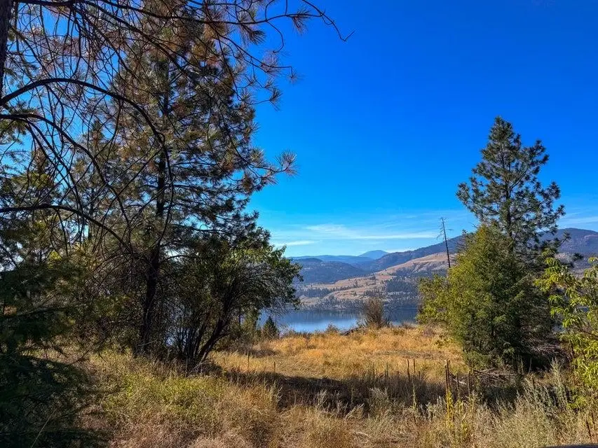 1989-TBD S 25 Hwy, Kettle Falls, WA 99141 - #3