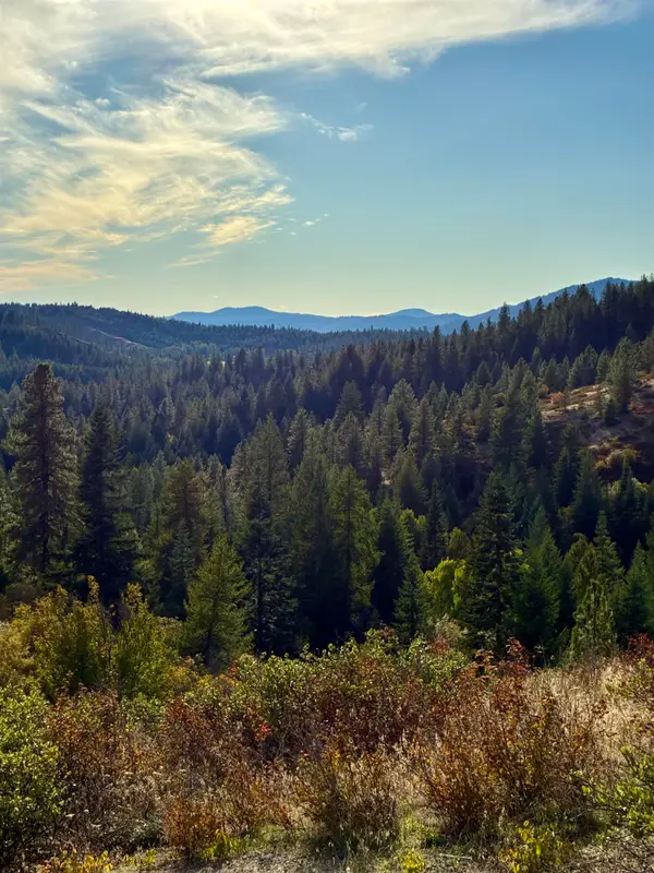 TBD Deer Valley Rd, Newport, WA 99156