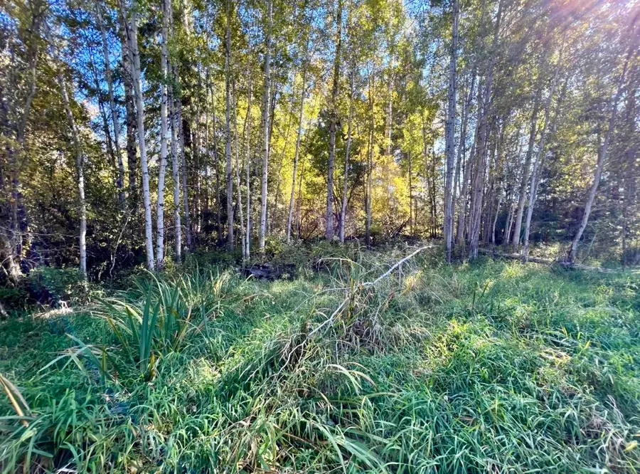 48XX S Swenson Rd, Deer Park, WA 99006 - #3
