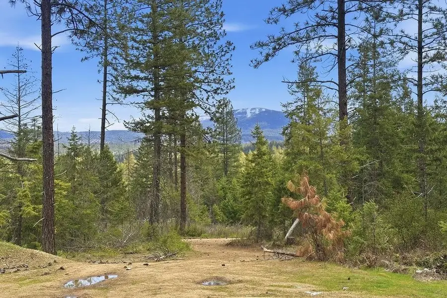 8300 E Lodge Pole Ln, Chattaroy, WA 99003 - #3