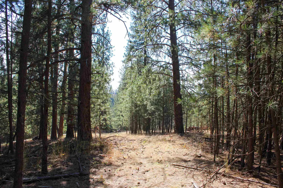 NKA (South lot) E Farwell Rd, Spokane, WA 99217 - #1