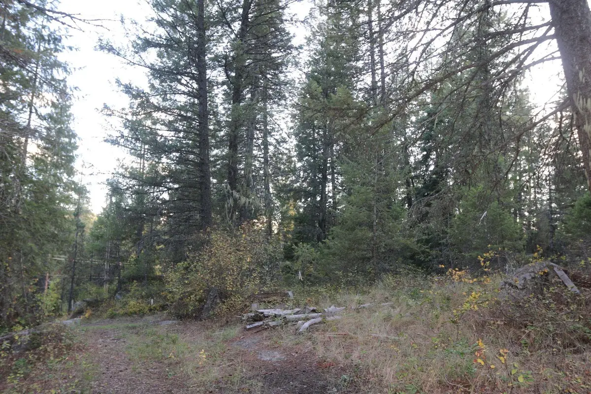 7289 Fertile Valley Rd, Newport, WA 99156 - #1