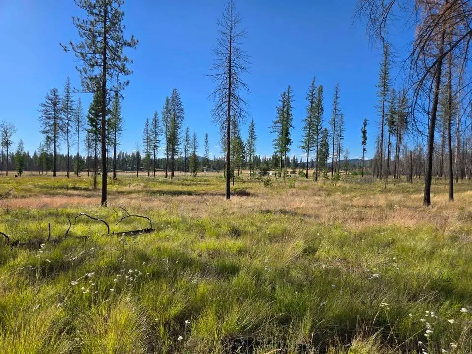 14xxx E Oregon Rd, Elk, WA 99009 - #1