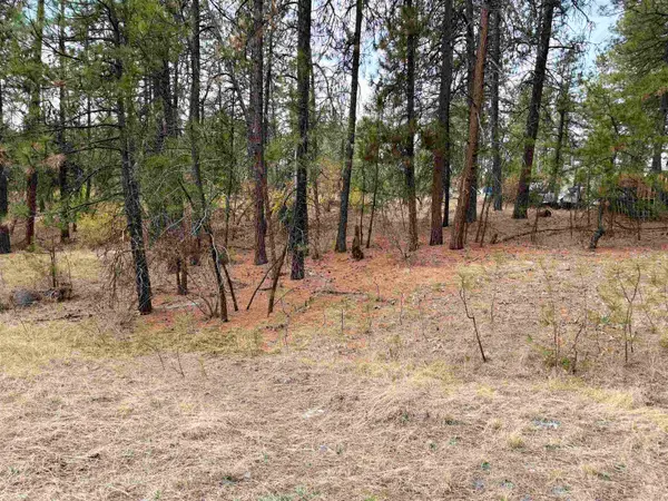NKA S Unassigned Address Rd, Spokane, WA 99224