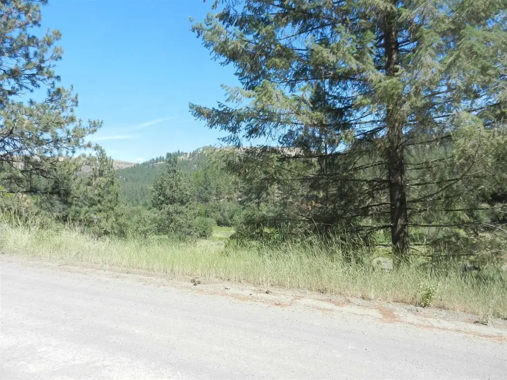 Tracts 126/127 Hawk Creek Ranch Rd North Rd, Davenport, WA 99122 - #1