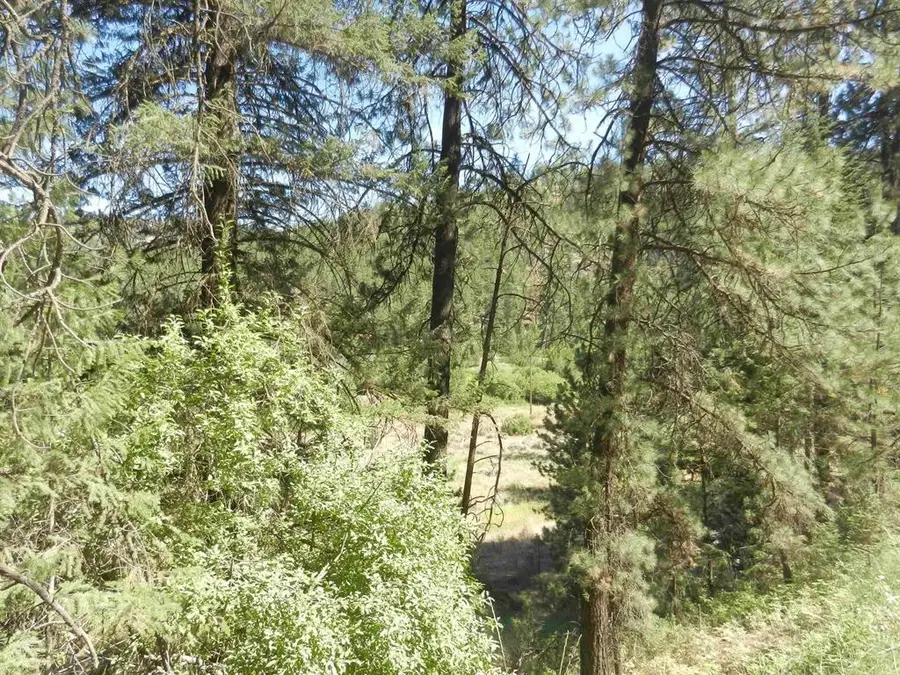 Tracts 126/127 Hawk Creek Ranch Rd North Rd, Davenport, WA 99122 - #2