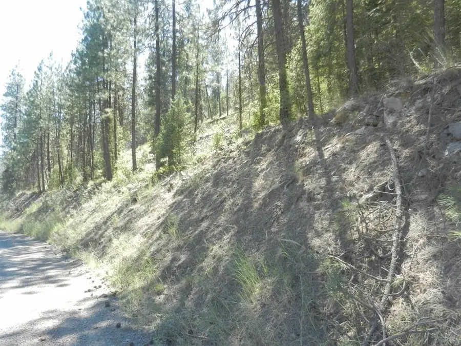 Tracts 126/127 Hawk Creek Ranch Rd North Rd, Davenport, WA 99122 - #3