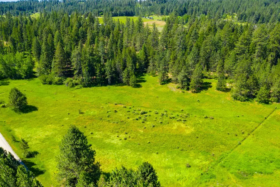 47161.0305 N Northwood Dr, Mead, WA 99021 - #2