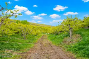 1721 Sunset Way, Cowiche, WA 98923 - Image #2