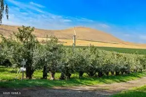 NKA Desmarais Rd, Moxee, WA 98936 - Image #2