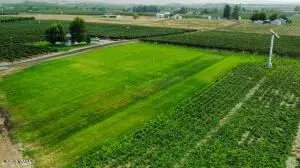 NKA E Sunnyside Canal, Zillah, WA 98953 - Image #3