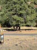 NKA Nile Rd, Naches, WA 98937 - Image #3