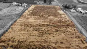 NKA White Rd-w Rd, Zillah, WA 98953