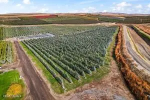 370 Macy Rd, Zillah, WA 98953 - Image #1