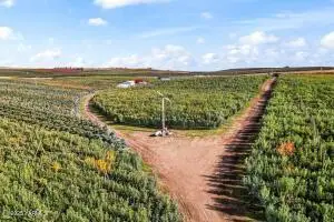 370 Macy Rd, Zillah, WA 98953 - Image #2