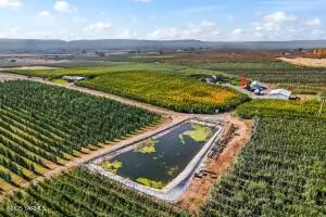 370 Macy Rd, Zillah, WA 98953 - Image #1