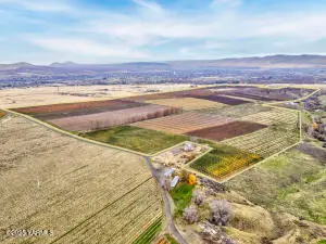 14306 W Acord Rd, Benton City, WA 99320 - Image #3