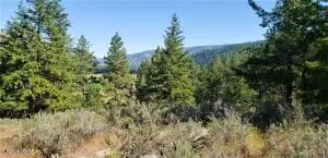 NNA Nile Rd, Naches, WA 98937 - Image #1