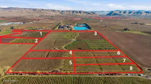 NKA Lateral 1 & B Rd #5, Wapato, WA 98951 - #2